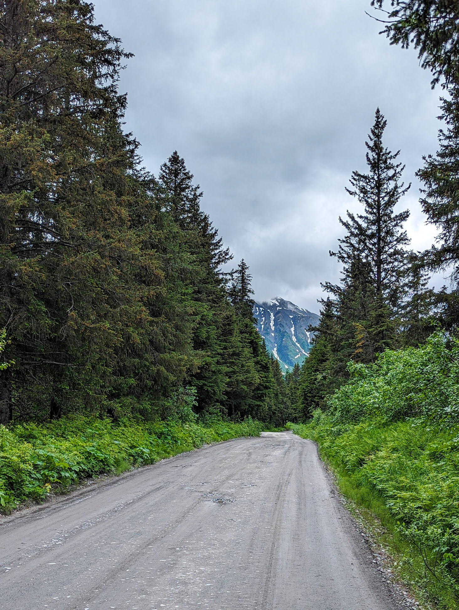 A back road in Alaska
