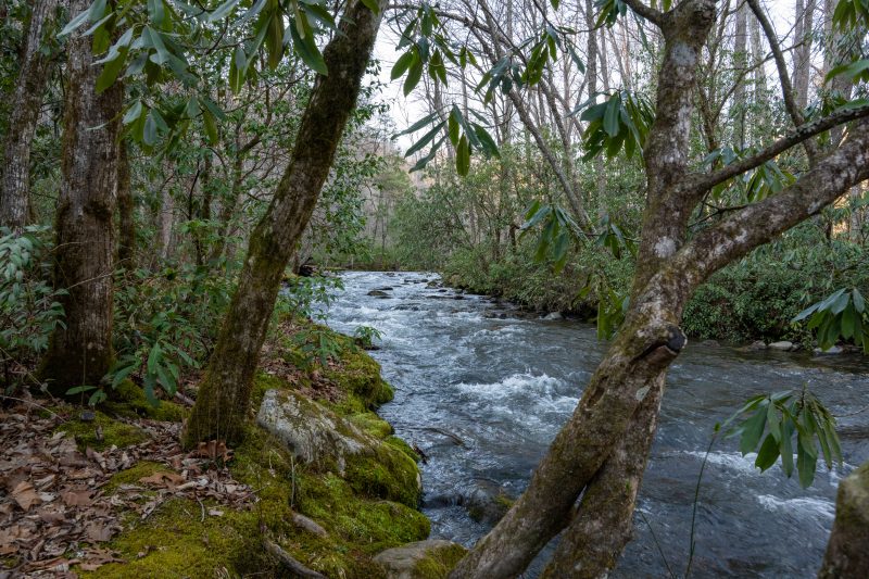 A river winding through the Smoky Mountains