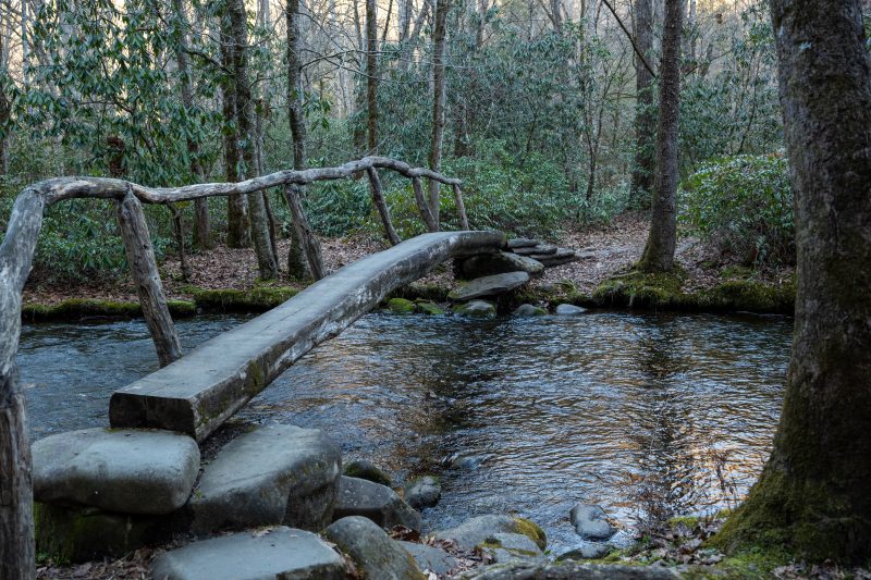 A wooded footpath at Smokemont Campground in Great Smoky Mountains National Park