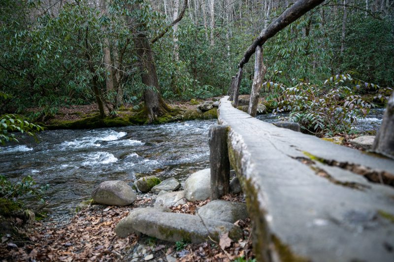 A wooded footpath at Smokemont Campground in Great Smoky Mountains National Park